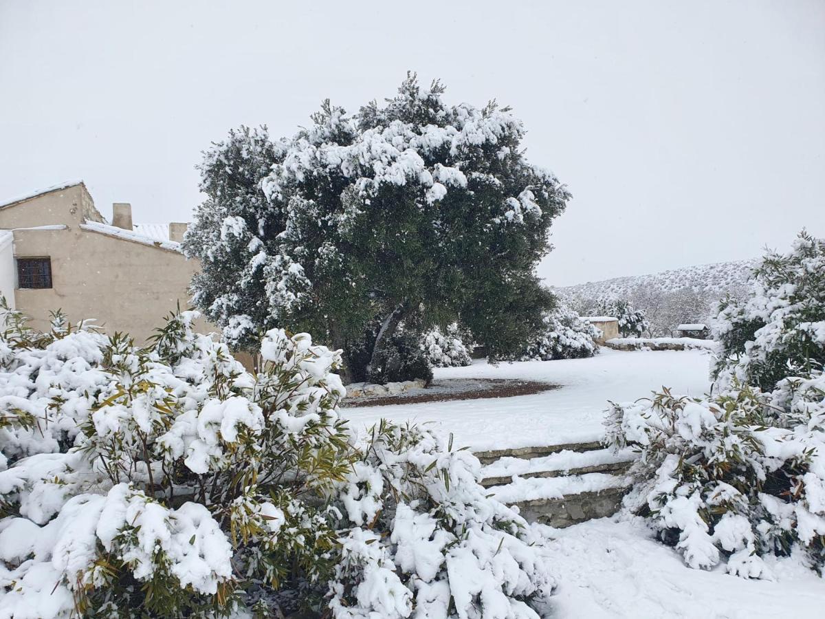 Apartment Amanece Monegrillo